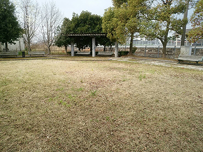 綺麗になった広場