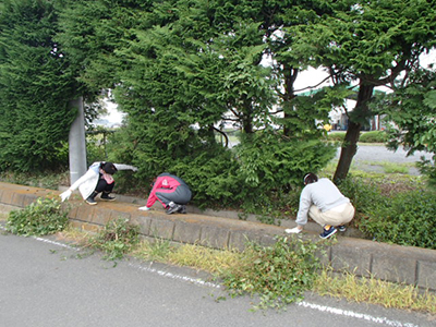 剪定後の枝掃除