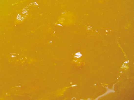 桜 温州みかん G020 （さのう入）