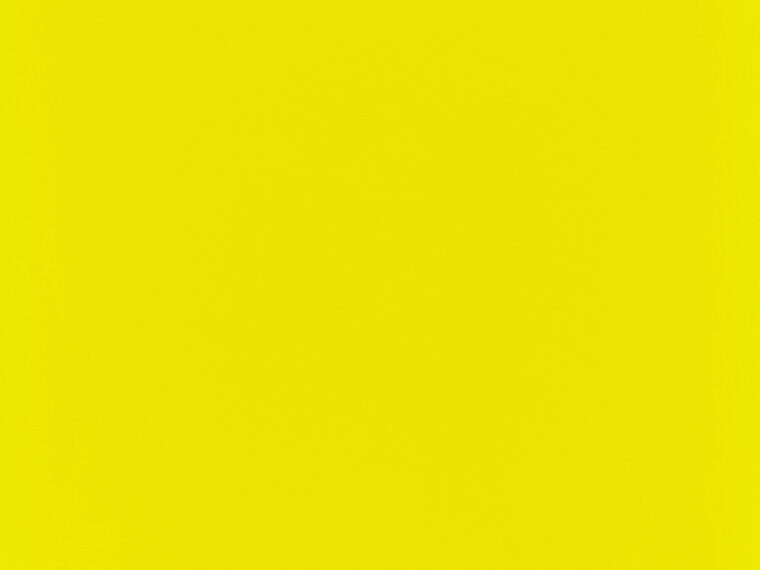 桜 夏みかん P008