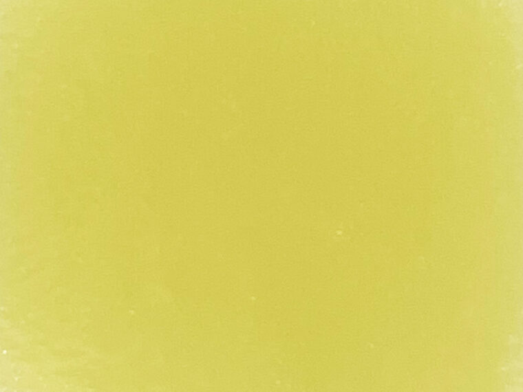 桜 ラ・フランス P015