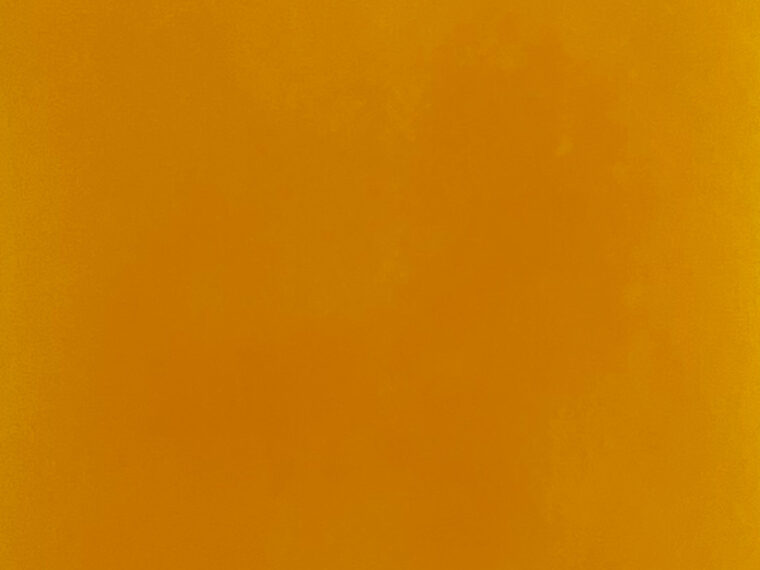 桜 赤肉メロン P012