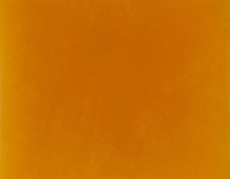 桜 茨城赤肉メロン P026　