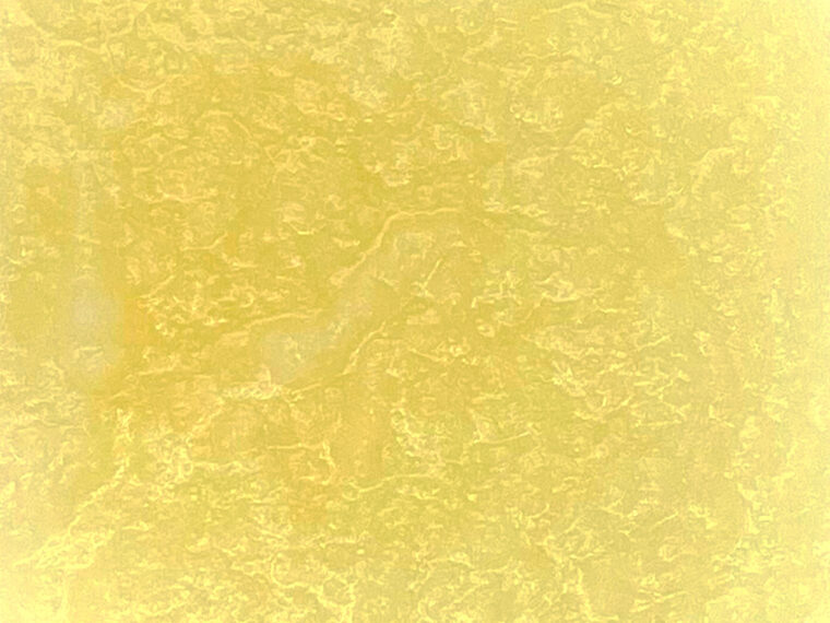 桜 紅玉 G019（果肉入）